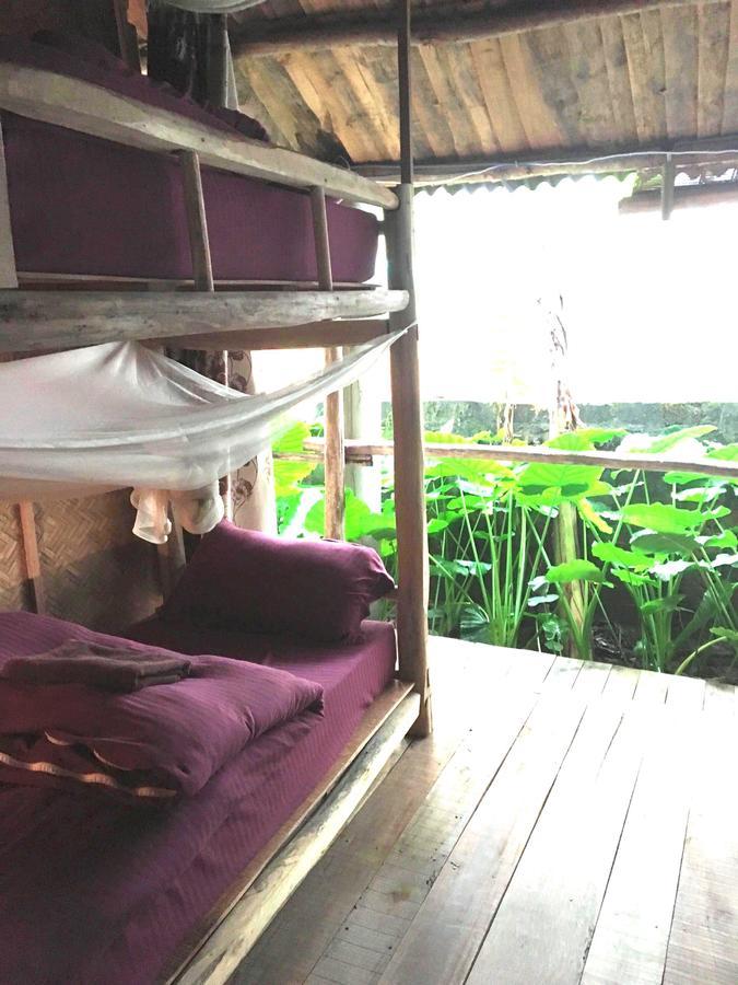Nguyen Shack - Phong Nha Central Town Εξωτερικό φωτογραφία
